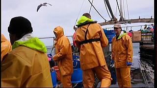 fisherman 152