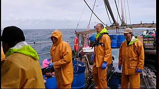 fisherman 153