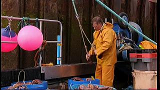 fisherman 155