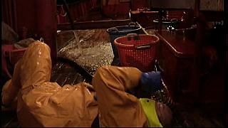 fisherman 157