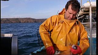 fisherman 165