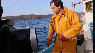 fisherman 166