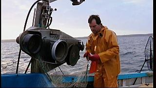 fisherman 167