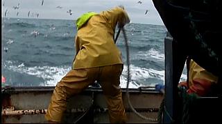 fisherman 169