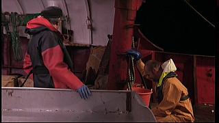 fisherman 175