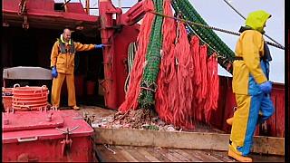 fisherman 177