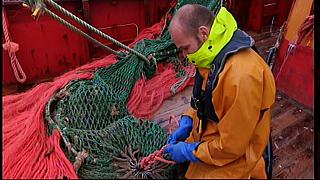 fisherman 183