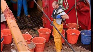 fisherman 184
