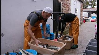 fisherman 199