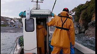 fisherman 204