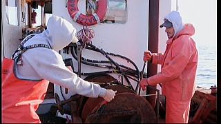 fisherman 206