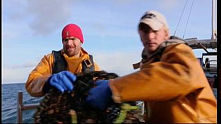 fisherman 209