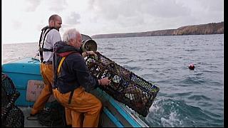 fisherman 212