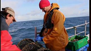 fisherman 216