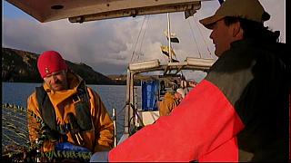 fisherman 219