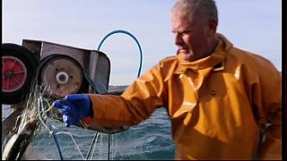 fisherman 225