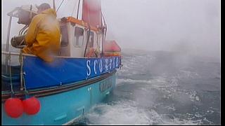 fisherman 229