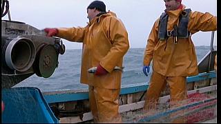fisherman 231