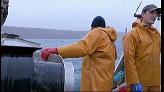 fisherman 235
