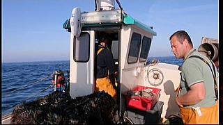 fisherman 248