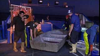 HARDLINERS 061