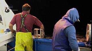 HARDLINERS 192