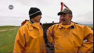 MM FISH 045