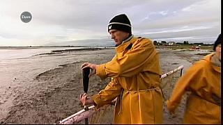 MM FISH 059