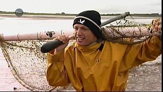 MM FISH 061
