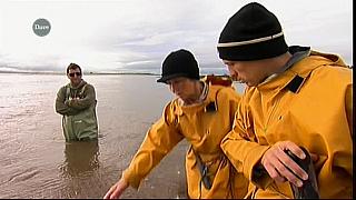 MM FISH 065