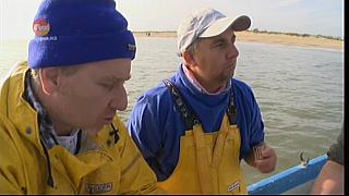 MM FISH 066