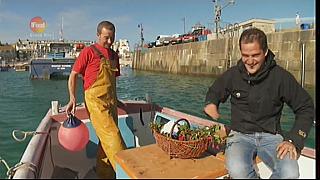 MM FISH 067