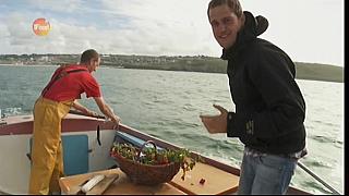 MM FISH 069