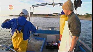 MM FISH 097