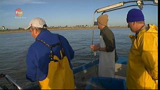 MM FISH 098