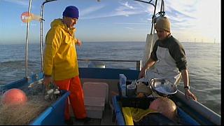 MM FISH 099