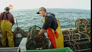 MM FISH 118