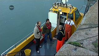 MM FISH 126