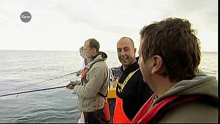 MM FISH 129