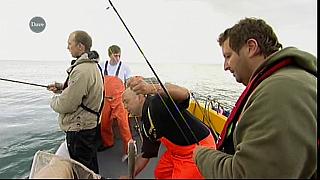 MM FISH 130