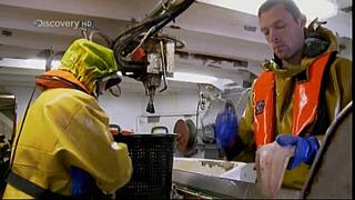 TRAWLER WARS 057