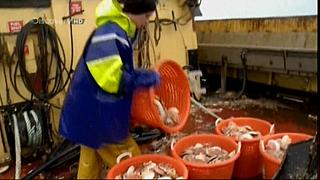 TRAWLER WARS 142