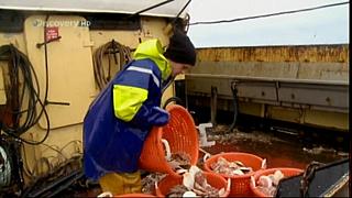 TRAWLER WARS 143