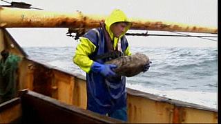 TRAWLER WARS 156