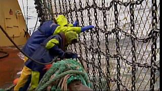 TRAWLER WARS 158