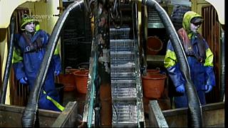 TRAWLER WARS 161