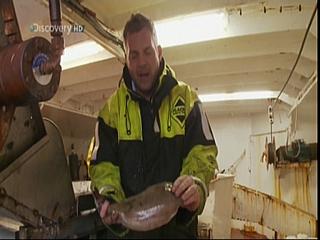 TRAWLER WARS 187