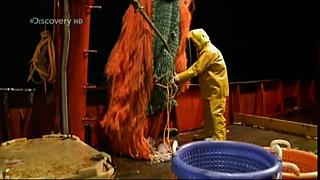 TRAWLER WARS 225