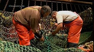 TRAWLER WARS 226