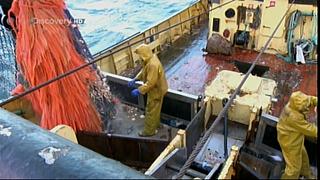 TRAWLER WARS 232